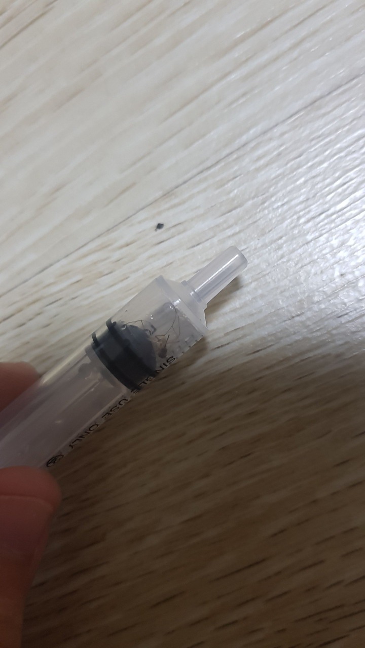 모기를 생포했어요 | 인스티즈