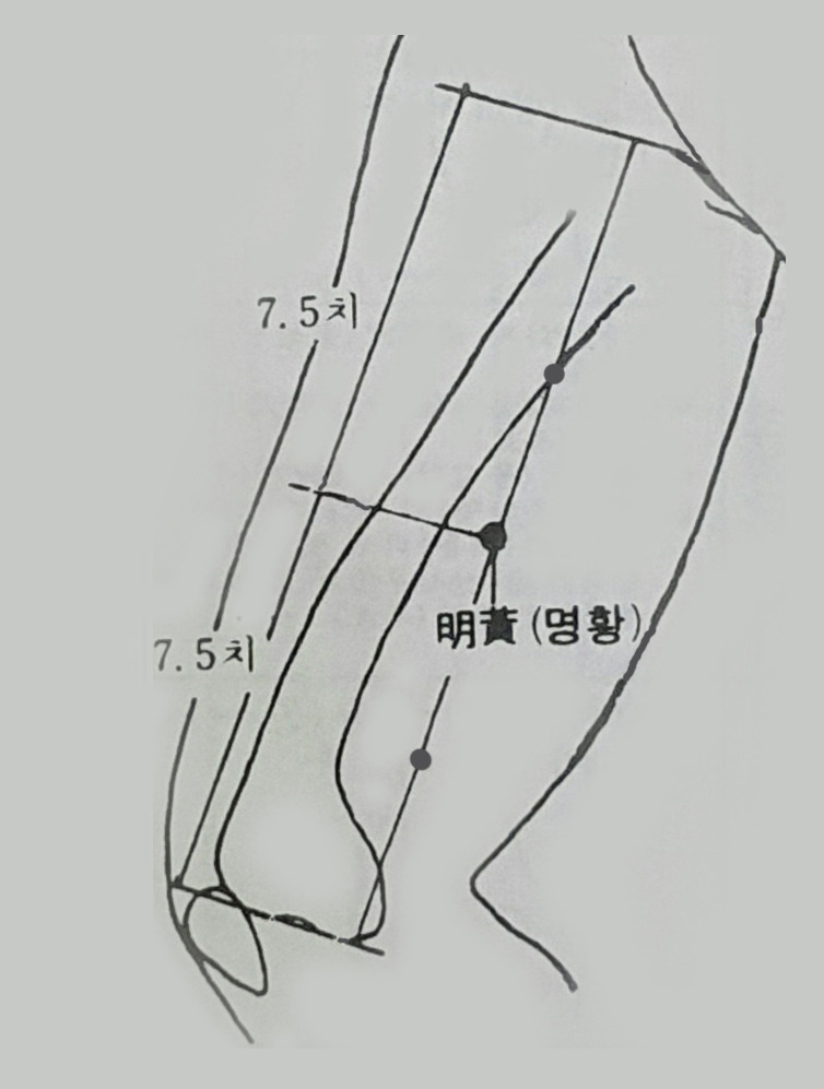 삼황 이미지