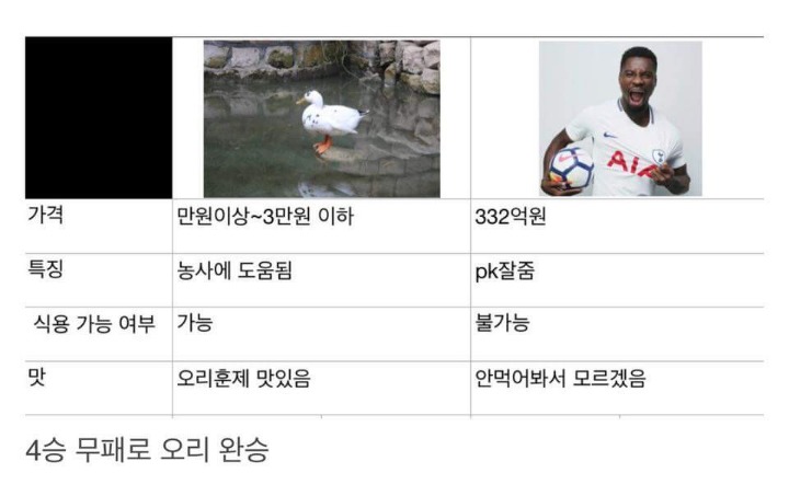 오늘자 오리 vs 오리에 비교 | 인스티즈