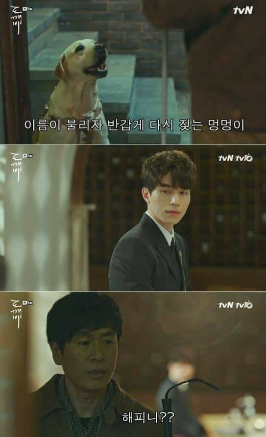 먼저 간 반려동물은 주인을 기다린다는 이야기 | 인스티즈