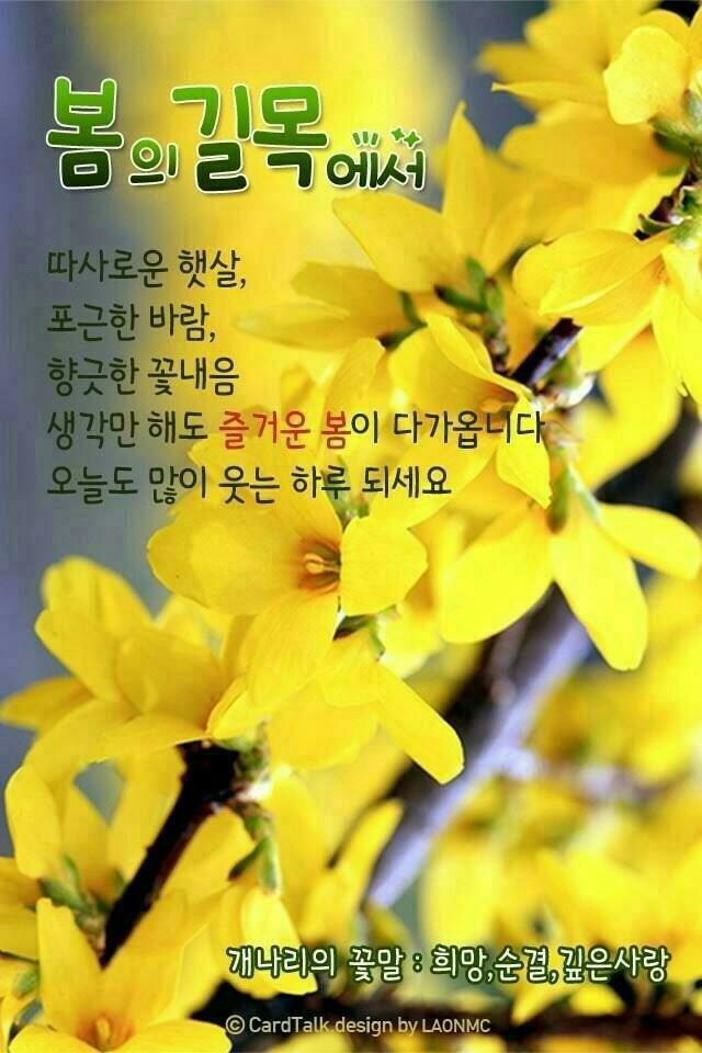 (주)예쁜오늘 이미지