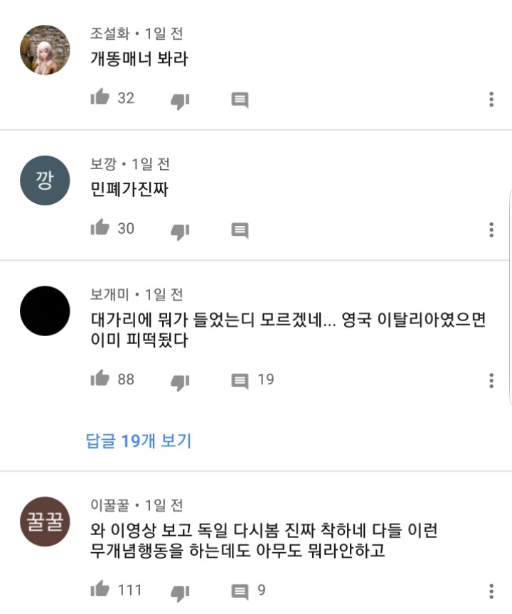 독일에서 나라망신 시켰다고 까이고있는 유튜버 | 인스티즈