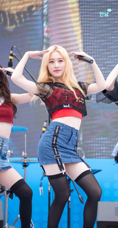 소나무 의진.jpg | 인스티즈
