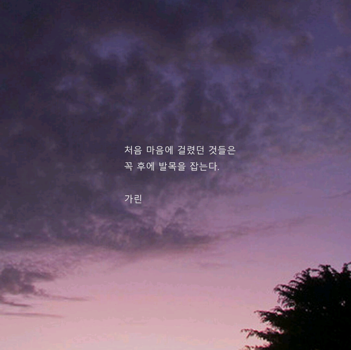 내 갤러리 속 30번의 고통 | 인스티즈