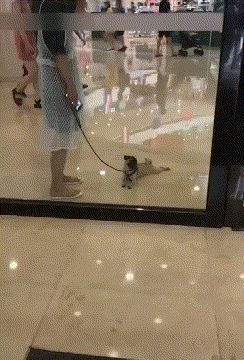 넌 마트에서 살아, 엄마는 갈거야.gif | 인스티즈