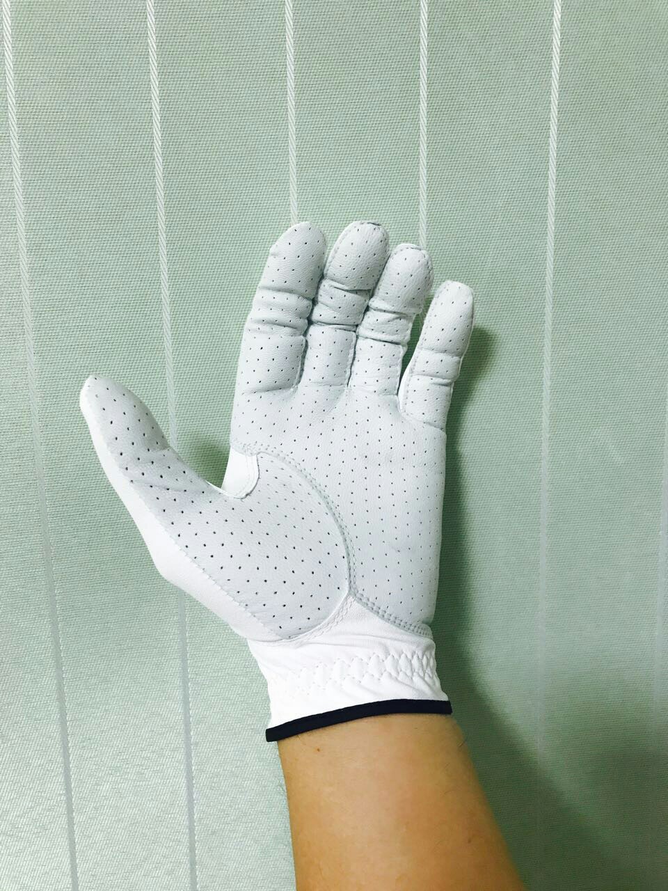 이글엑스 이미지
