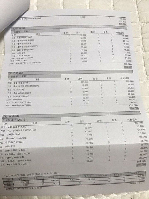 파보걸려 죽어가는 아기백구 후원부탁해 외면하지말아줘ㅠㅠㅠ | 인스티즈