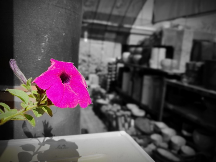 99C09C505CCFCB0D0BBD02