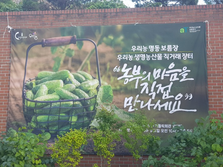명동장 이미지
