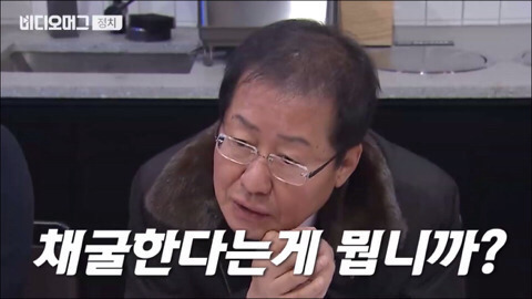 대한민국 정치 꿀보직.jpg | 인스티즈