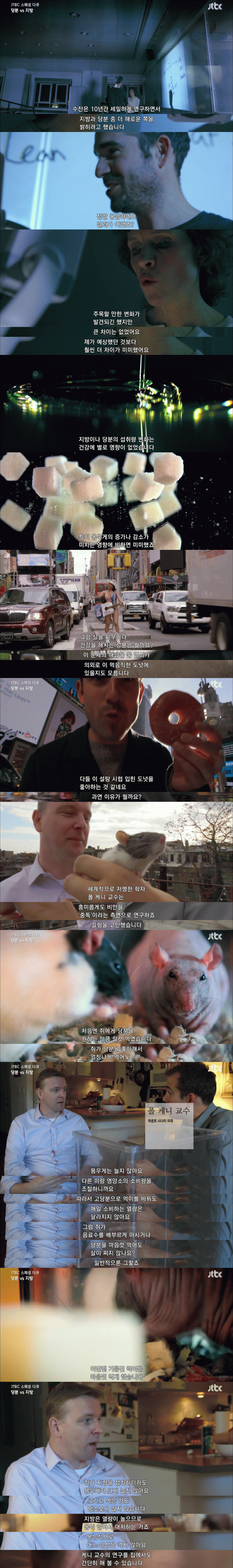 살찌는 이유를 찾는 다큐멘터리 | 인스티즈