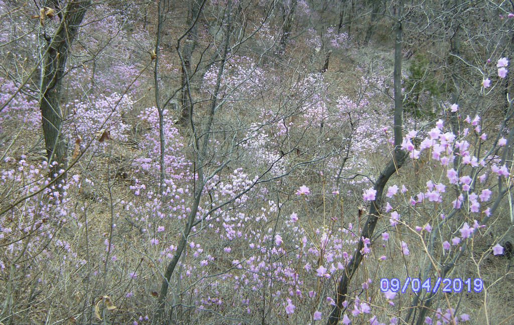 우이산장 이미지