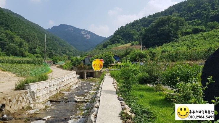 파란잔디 이미지