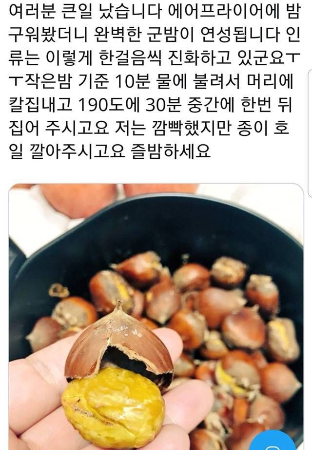 에어프라이어 초간단 레시피 모음 (부제 : 다들 에어프라이어를 사자!!) | 인스티즈