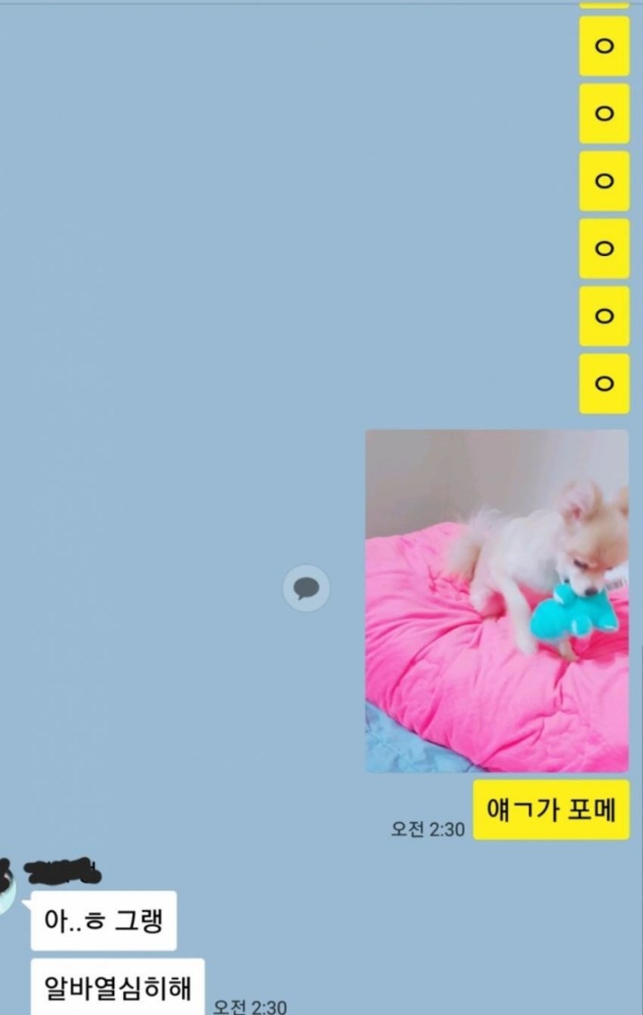오늘자 디씨 카톡 대참사.. | 인스티즈