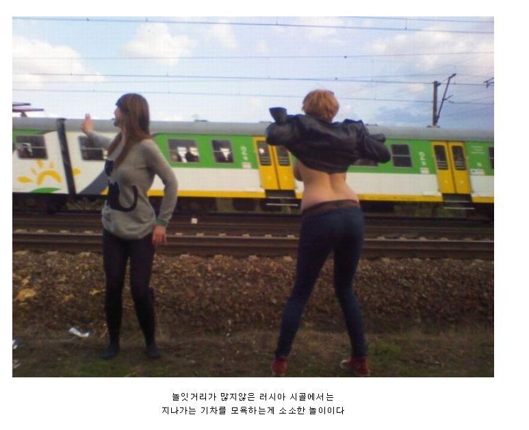 러시아 시골 특징.. jpg | 인스티즈