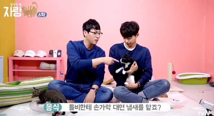 고양이랑 인사하는 법.jpg | 인스티즈