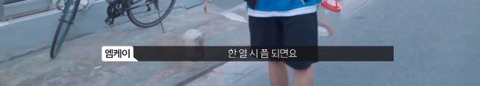 망원동 고양이 밥을 책임지고 있는 아이돌 | 인스티즈