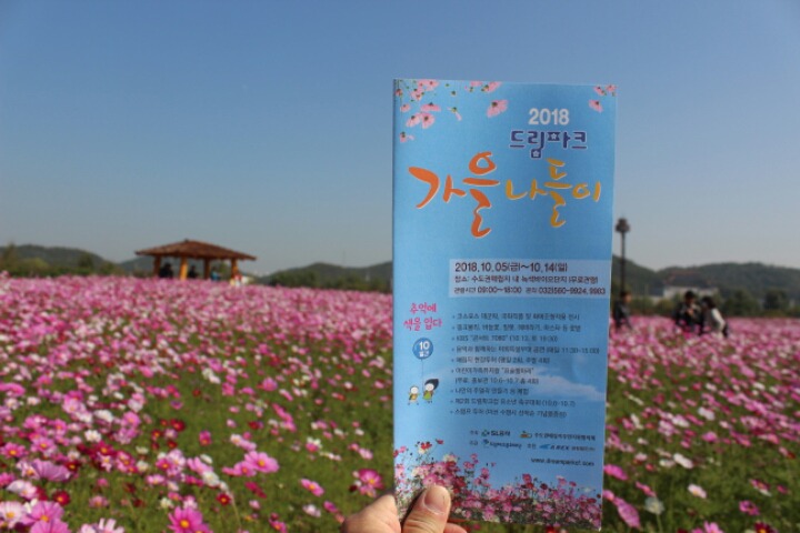드림파크 이미지