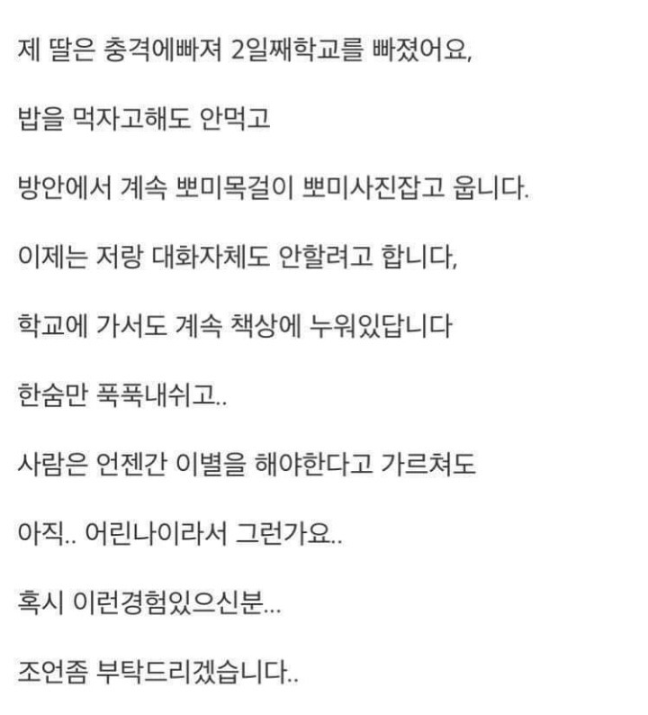 18년키운 강아지가 죽었는데 | 인스티즈