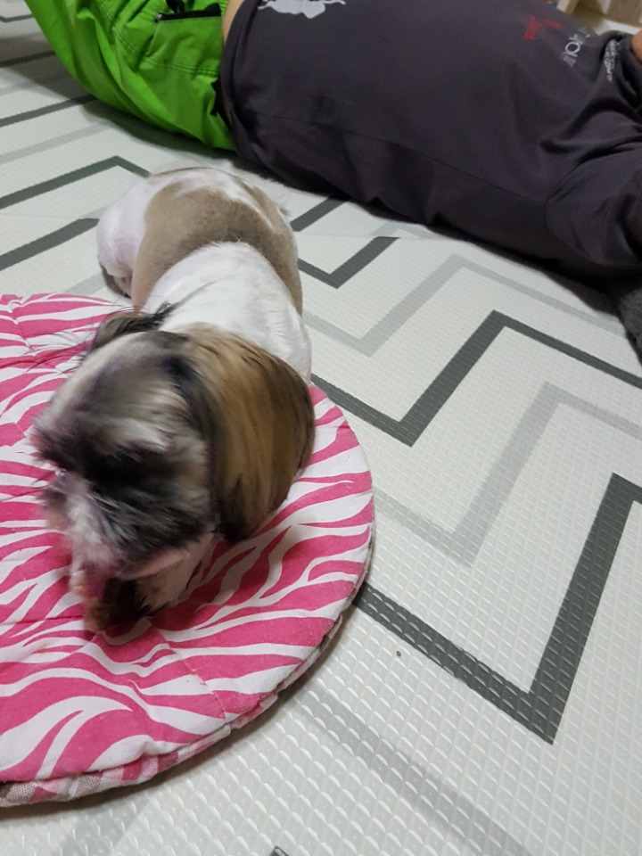 울엄마간식 이미지