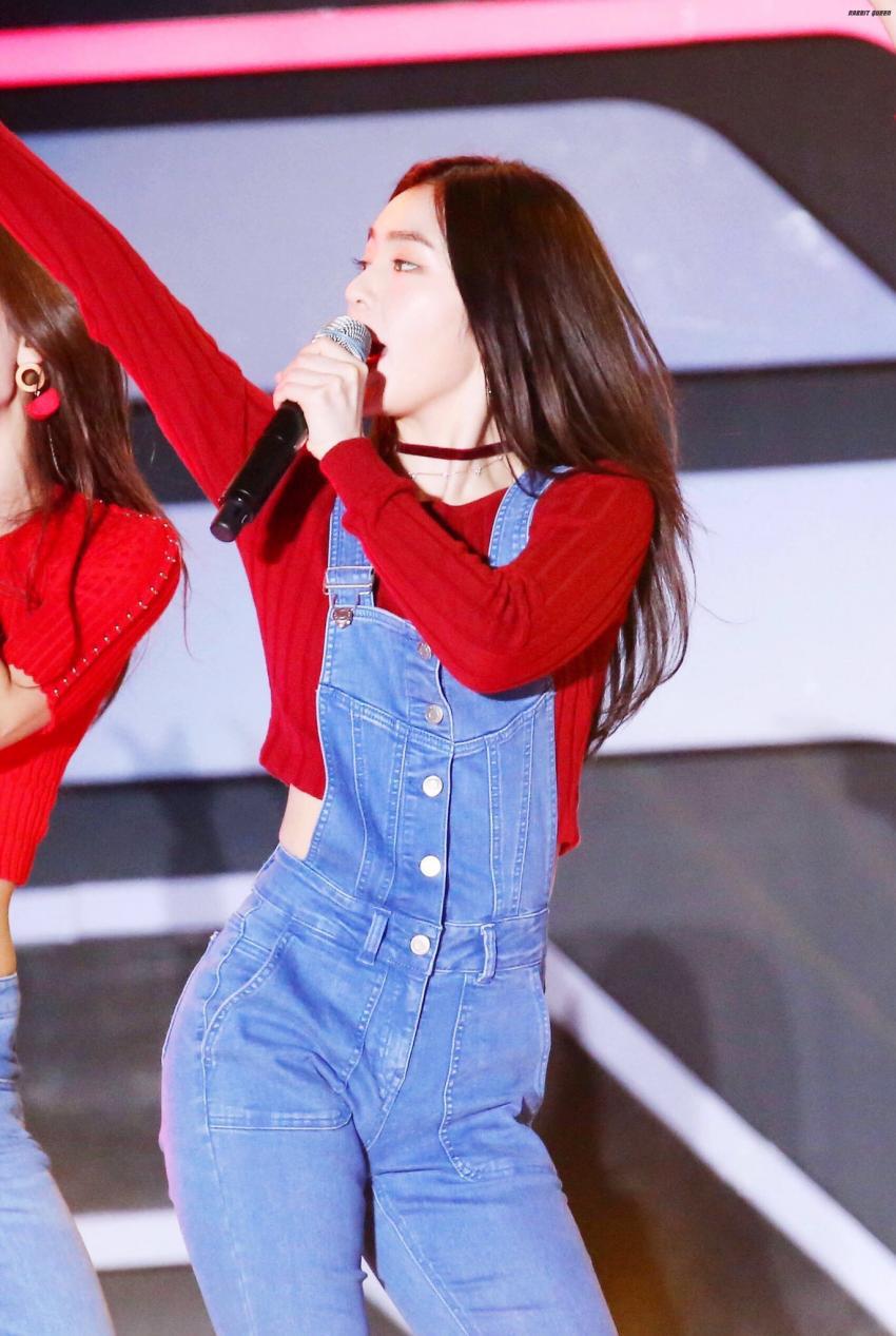 피버 페스티벌 레드벨벳 | 인스티즈
