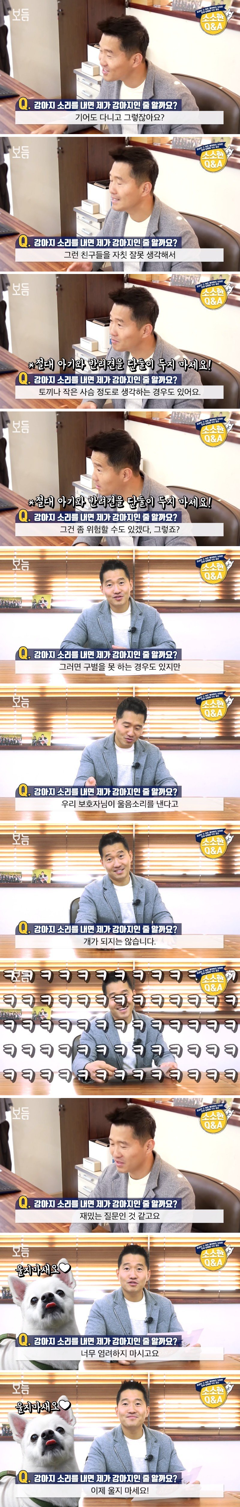  견주가 를 내면 댕댕이는 견주를 개인줄 알까? | 인스티즈