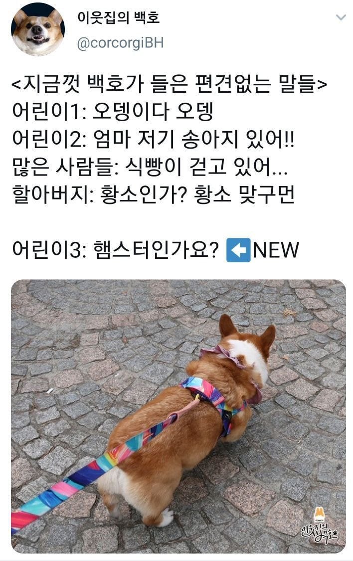 편견없는 대한민국ㅋㅋㅋㅋㅋㅋㅋㅋㅋㅋ.jpg | 인스티즈