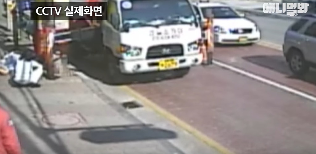 대낮에 남의 개를 납치한 여자 | 인스티즈