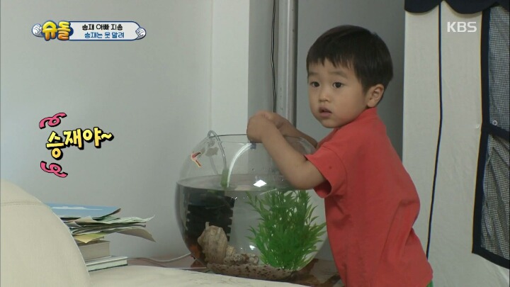 아빠의 중요 파일이 담긴 죽은 물고기를 어항에 넣어준 승재.jpg | 인스티즈