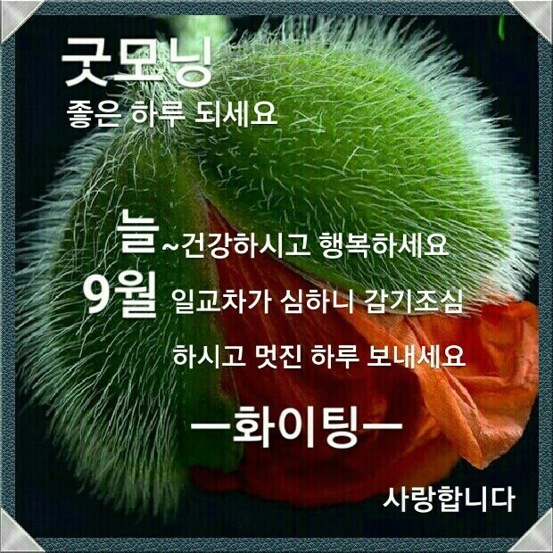 오늘도예쁘게 이미지