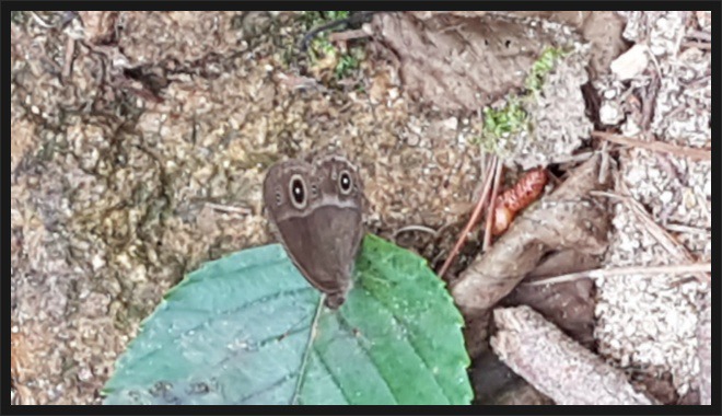 사뿐부산 이미지