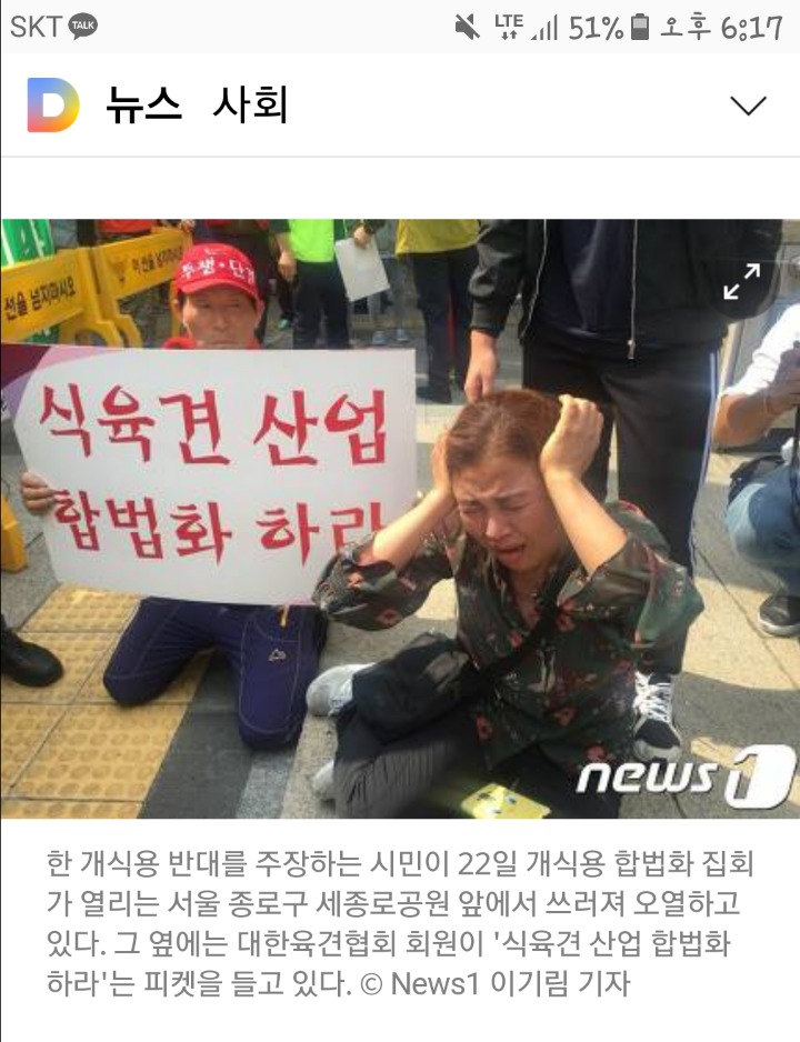 개고기 합법화 주장하는 대한육견협회 | 인스티즈