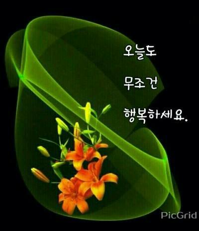 나을 이미지