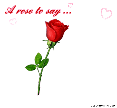 RoseDay 이미지