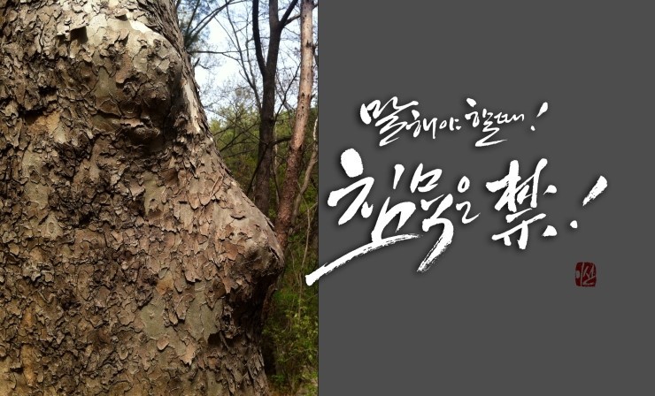 샘물집 이미지