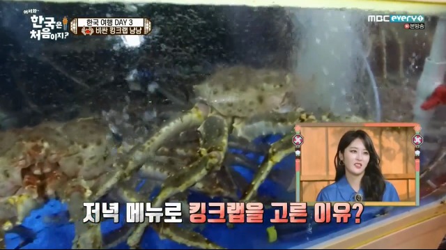[어서와~한국은처음이지?] 태어나서 처음 킹크랩 먹어보는 핀란드 친구들 | 인스티즈